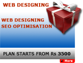 Web Designing with low cost, Ecommerce , portals